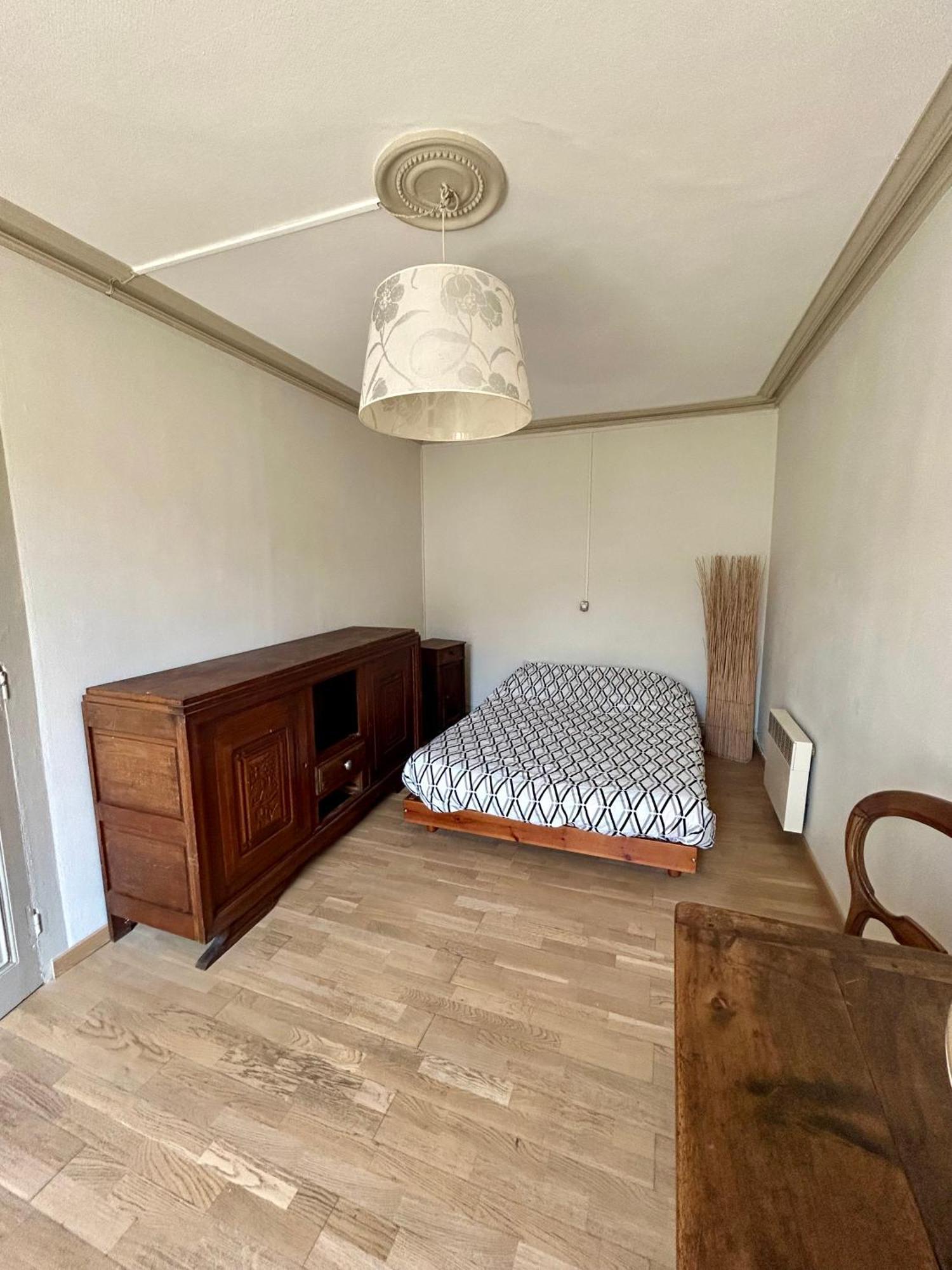 100Metres Du Chateau Au 116 Rue De La Republique Vizille Eksteriør bilde